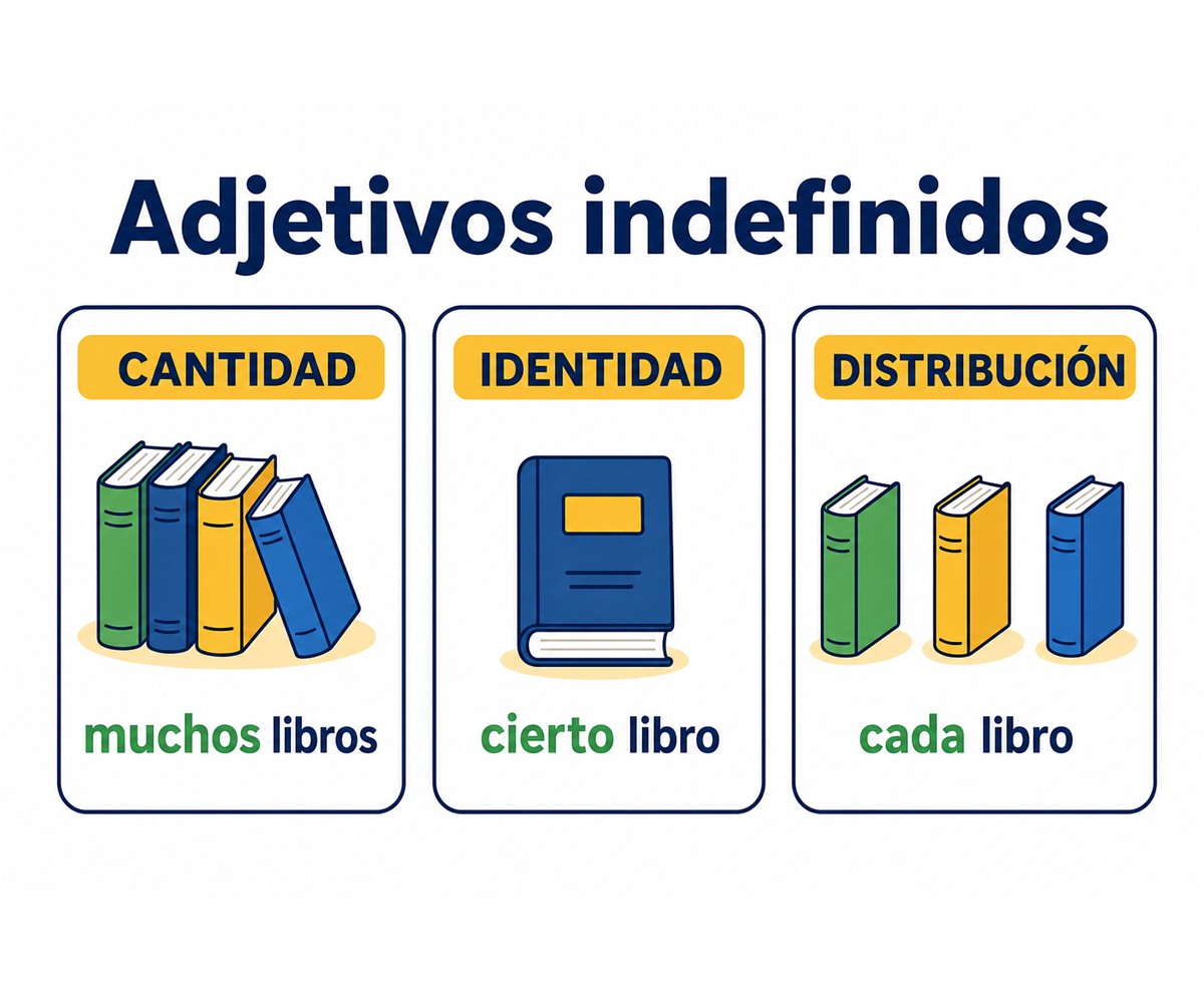 Infografía de adjetivos indefinidos de cantidad, identidad y distribución con ejemplos en grupos nominales.