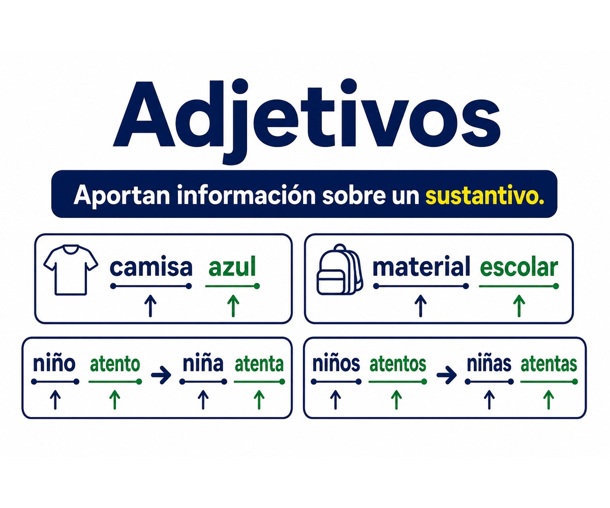 Infografía sobre adjetivos con ejemplos de camisa azul, material escolar y concordancia de género y número.