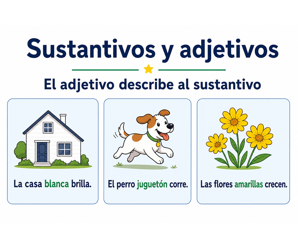 Infografía de oraciones con sustantivos y adjetivos que los describen.