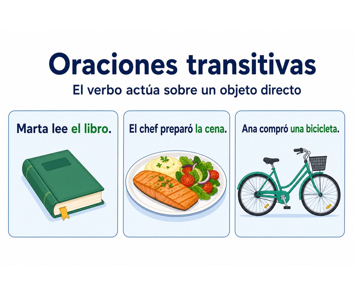 Infografía de oraciones transitivas con el objeto directo resaltado.