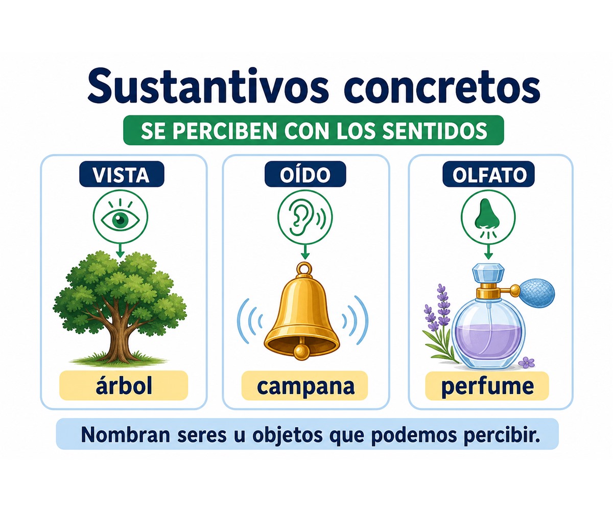 Infografía de sustantivos concretos con los ejemplos árbol, campana y perfume.