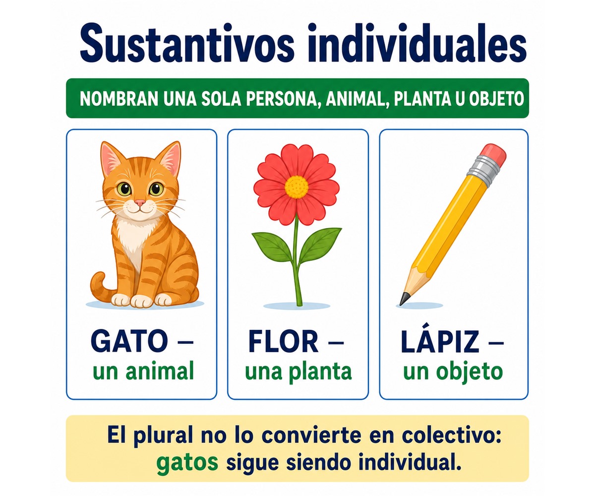 Infografía de sustantivos individuales con gato, flor y lápiz como nombres de una sola entidad.