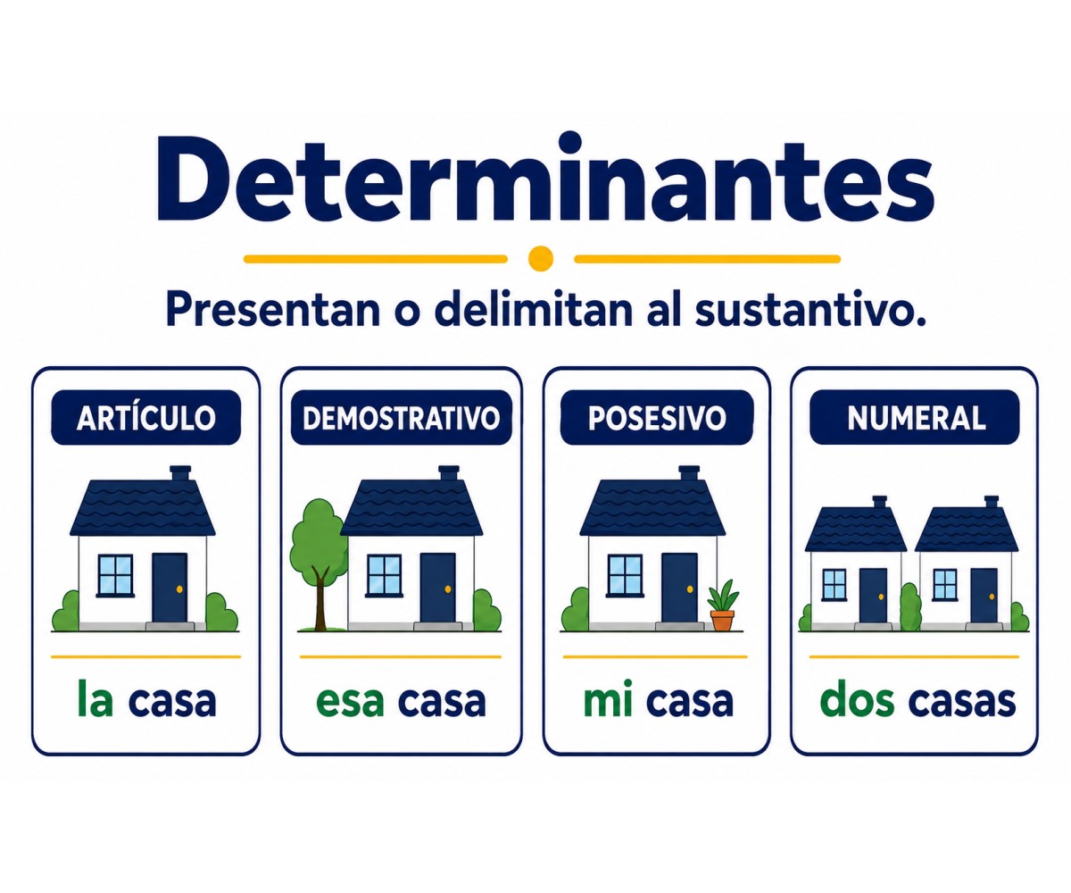 Infografía que presenta artículos, demostrativos, posesivos y numerales como clases de determinantes.
