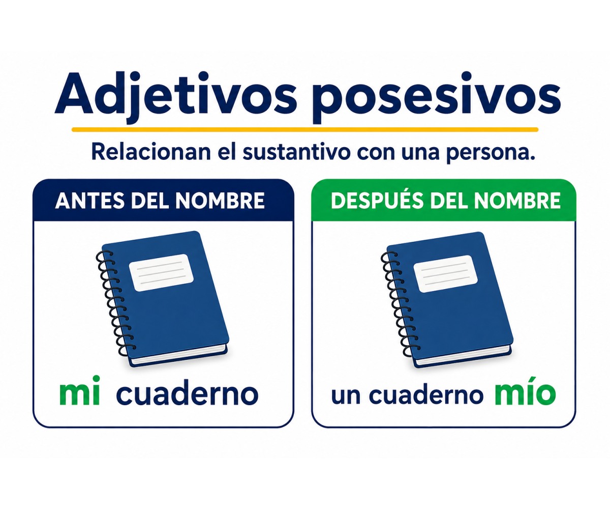 Infografía que compara posesivos antes y después del sustantivo con mi cuaderno y un cuaderno mío.