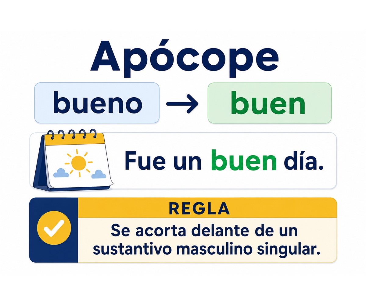 Infografía que muestra cómo bueno se convierte en buen delante de un sustantivo masculino singular.