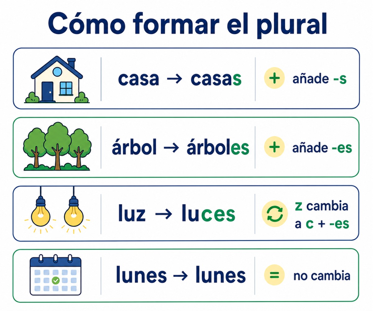 Infografía con reglas para formar el plural de casa, árbol, luz y lunes.