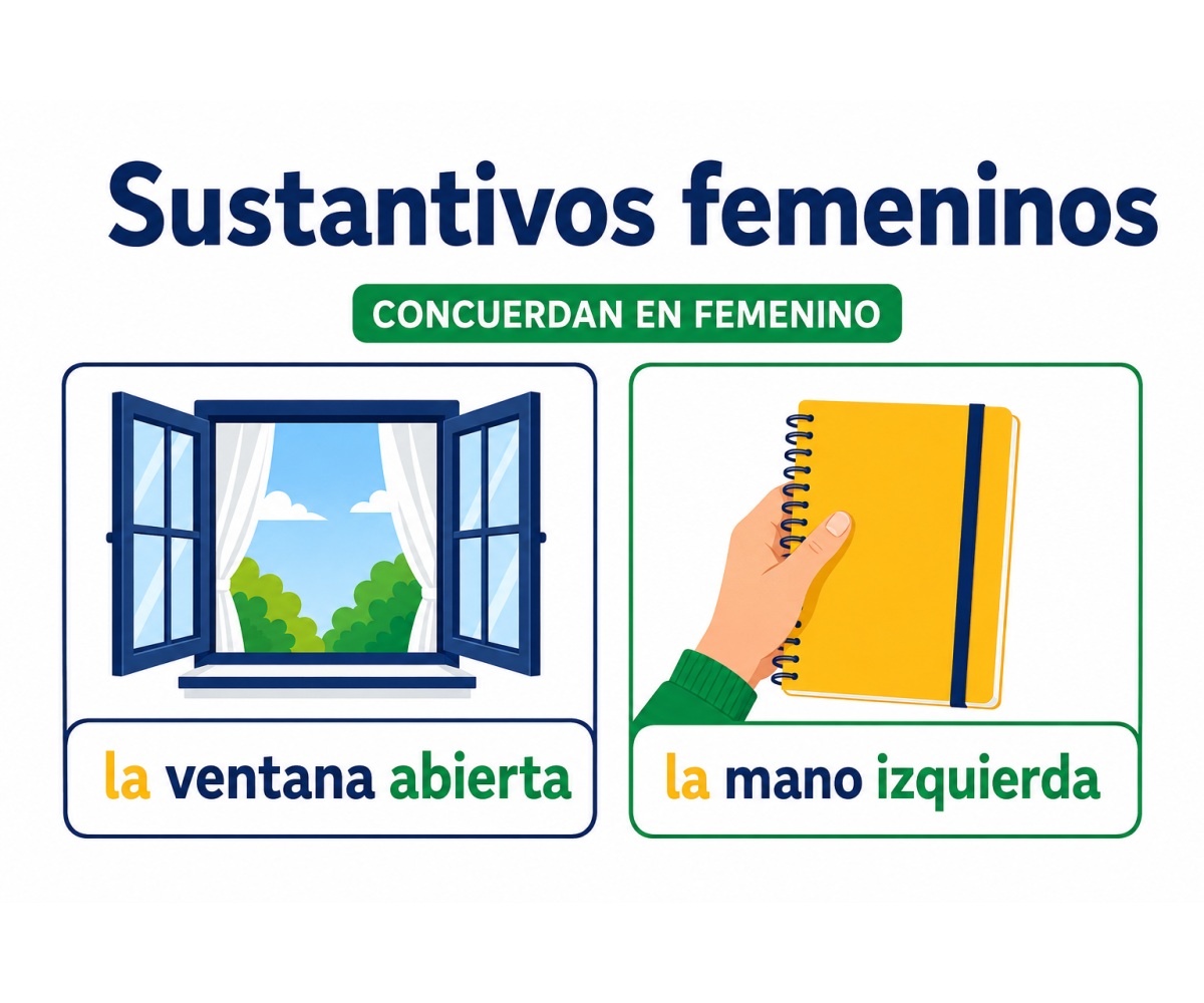 Infografía que muestra la concordancia femenina en la ventana abierta y la mano izquierda.